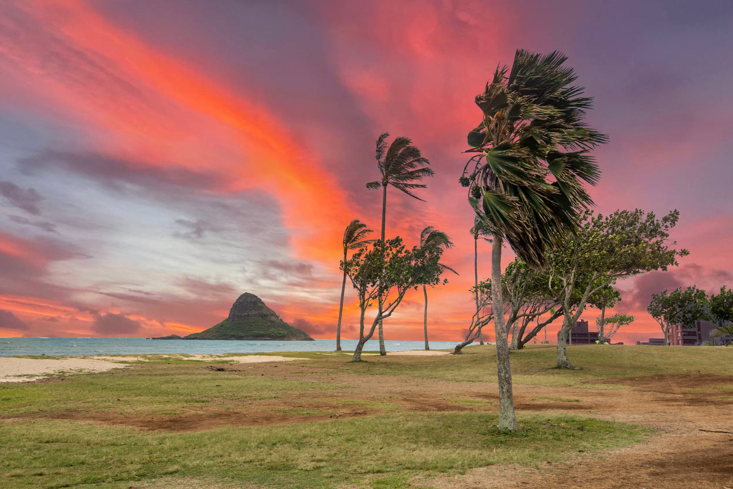 Pearl Harbor Tours from the Big Island